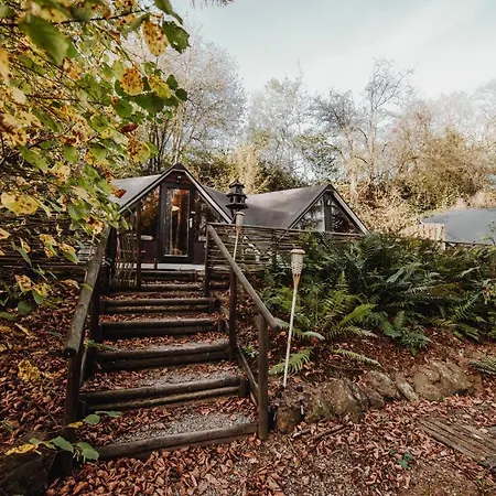 Chalet Scandinave Avec Sauna Ir - In The Woods Gesves Exterior photo