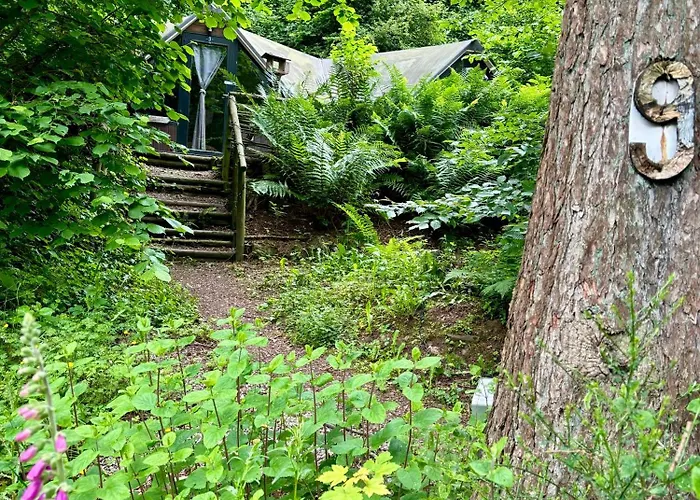 Chalet Scandinave Avec Sauna Ir - In The Woods