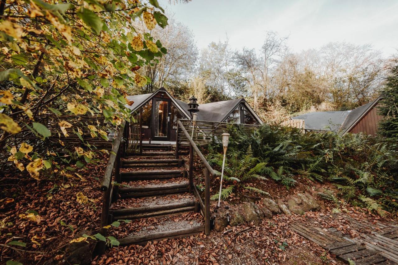 Chalet Scandinave Avec Sauna Ir - In The Woods
