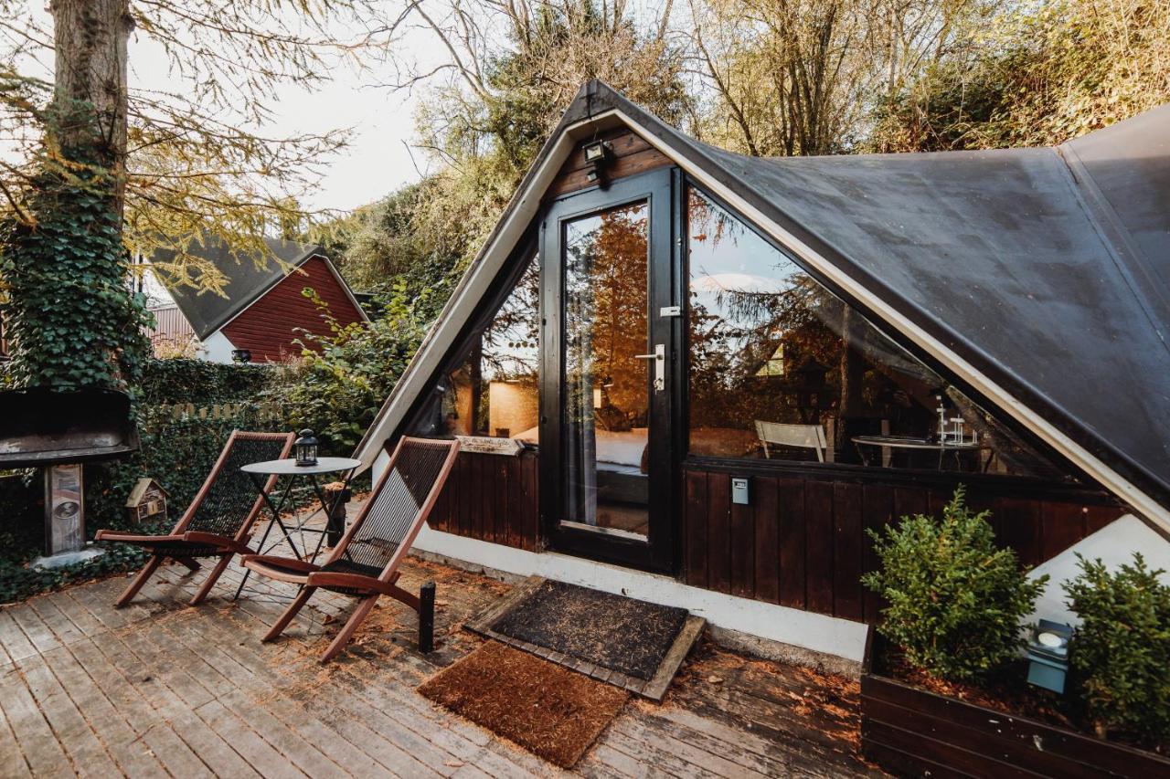 Scandinave Avec Sauna Ir - In The Woods *