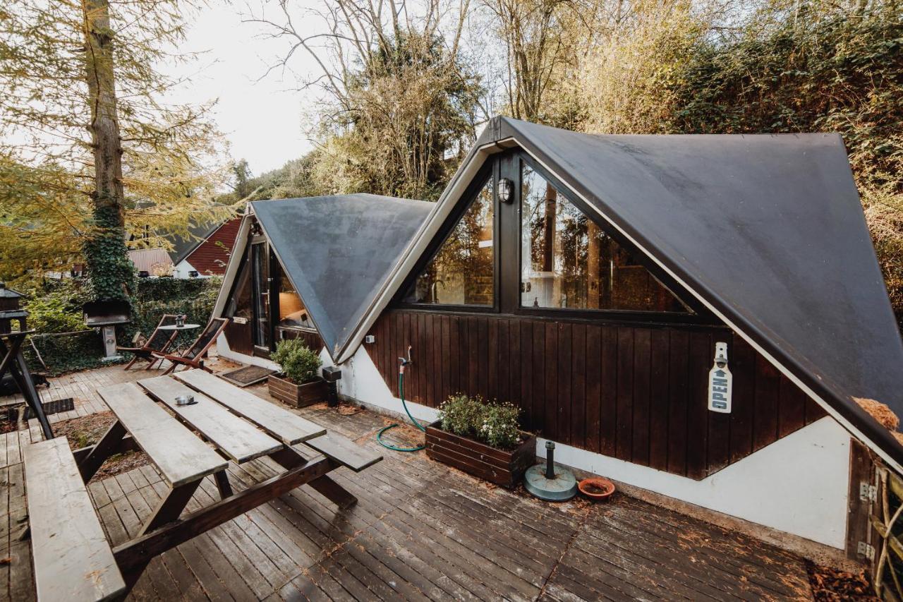 Scandinave Avec Sauna Ir - In The Woods