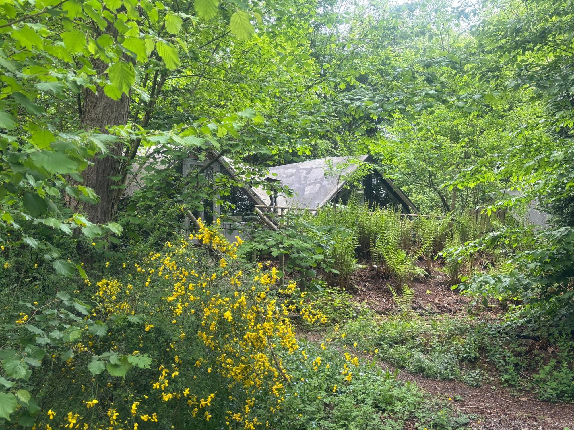 Scandinave Avec Sauna Ir - In The Woods Gesves